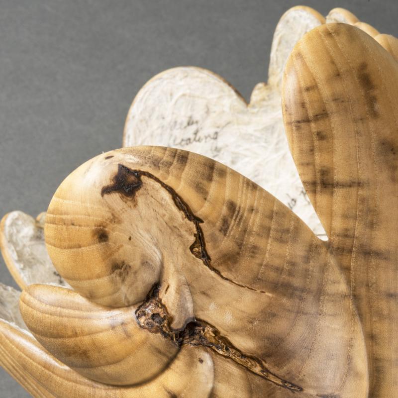  Betty J Scarpino - Woven with the Wind