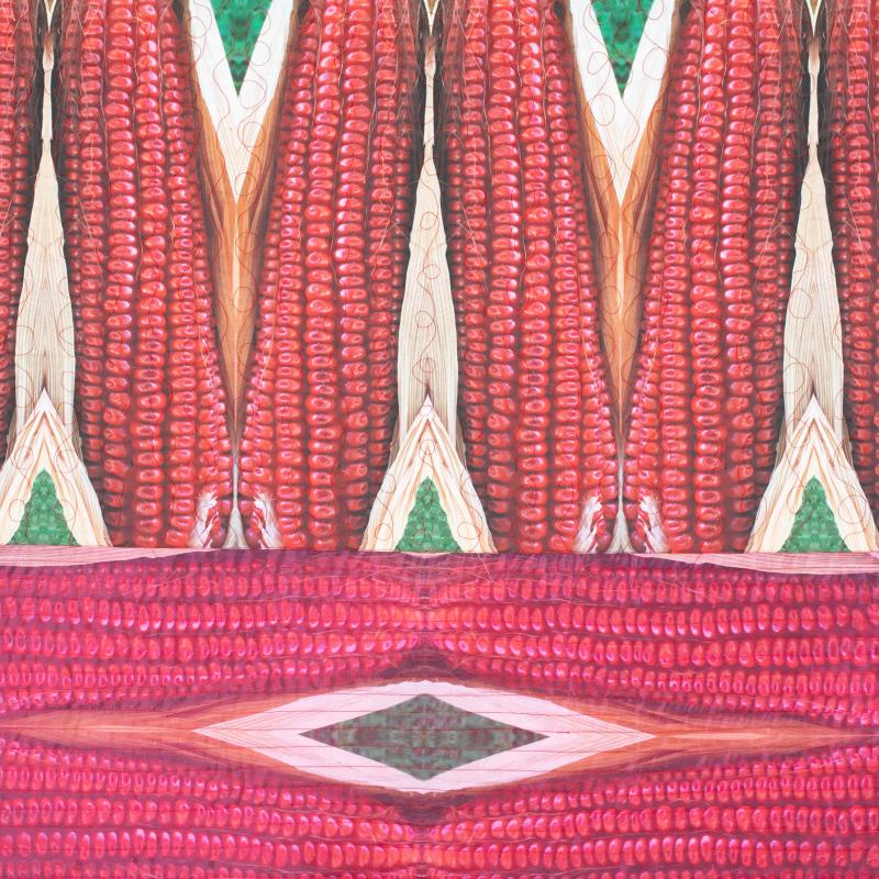 Sandra  Sider - Red Maize: Bloody Butcher