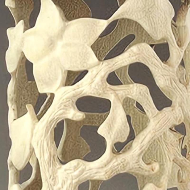  Ellen  Starr - Spring RenewalQ