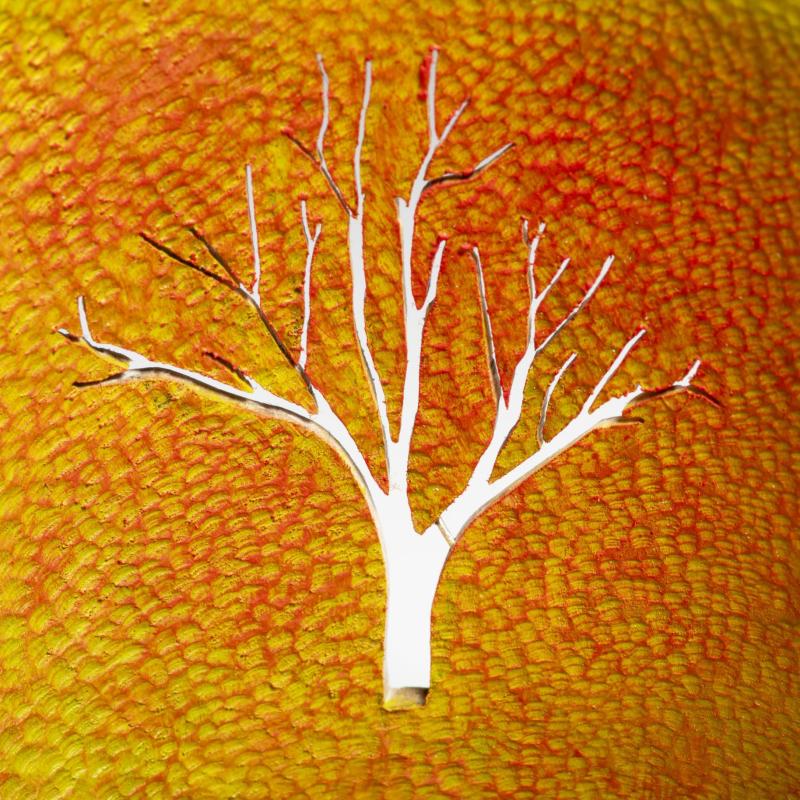  Adam  Wager - Silver Maple, Fall (Perspectival Forms Series)