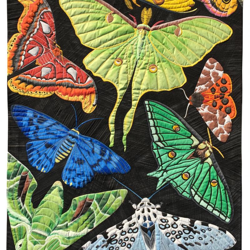 Susan  Brubaker Knapp - Drawn to the Light