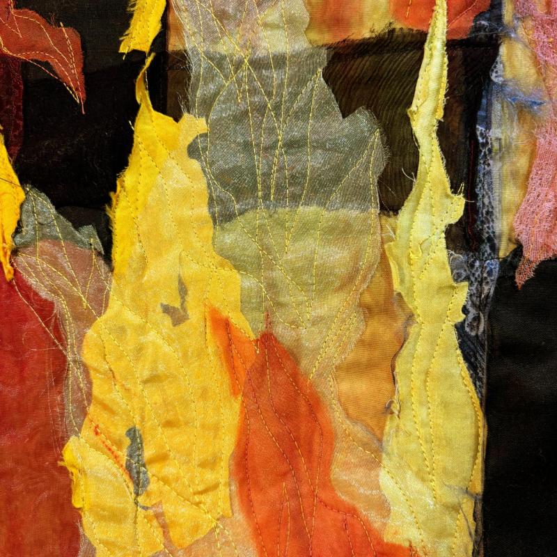 Carol K Boyer - Lost Habitat