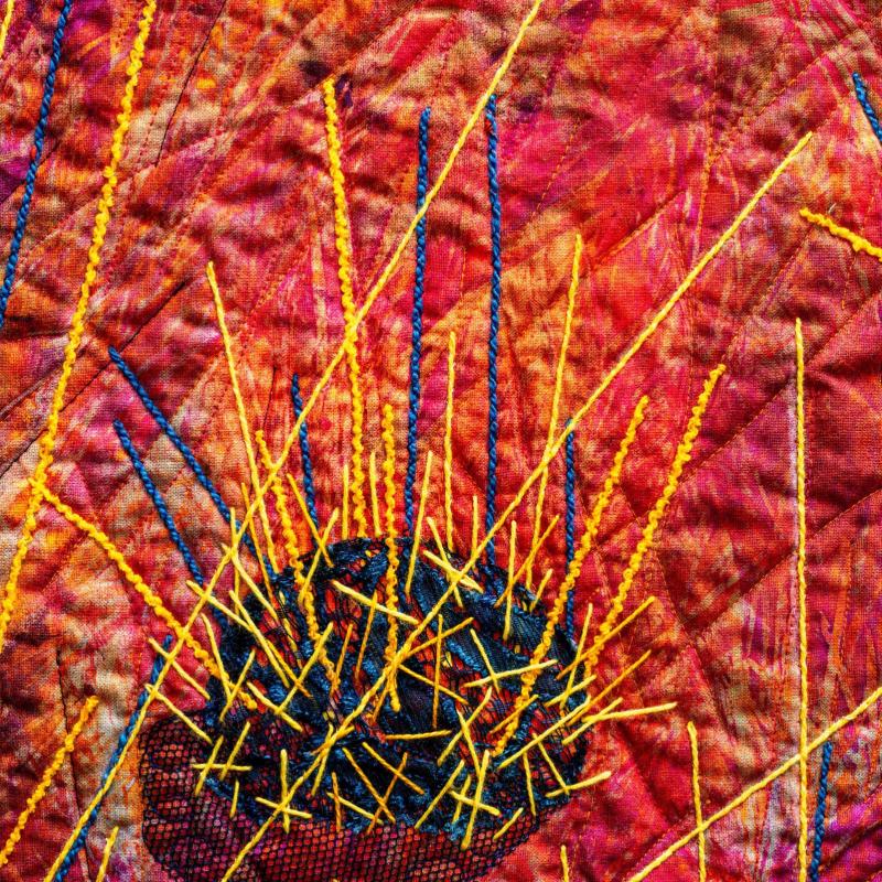 Sue Dennis - Spinifex Country