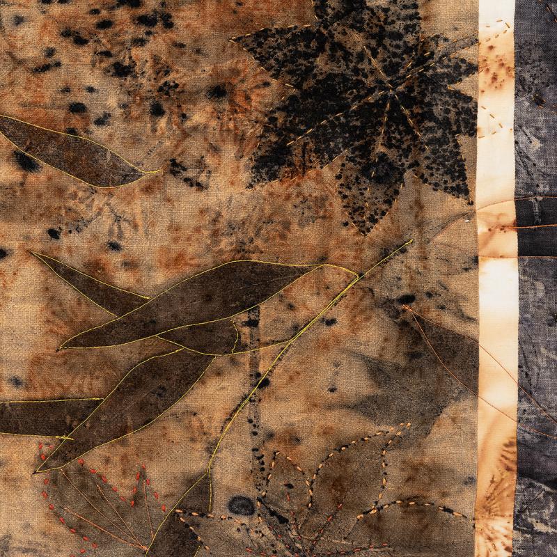 Sandi Goldstein - Scorched Earth 