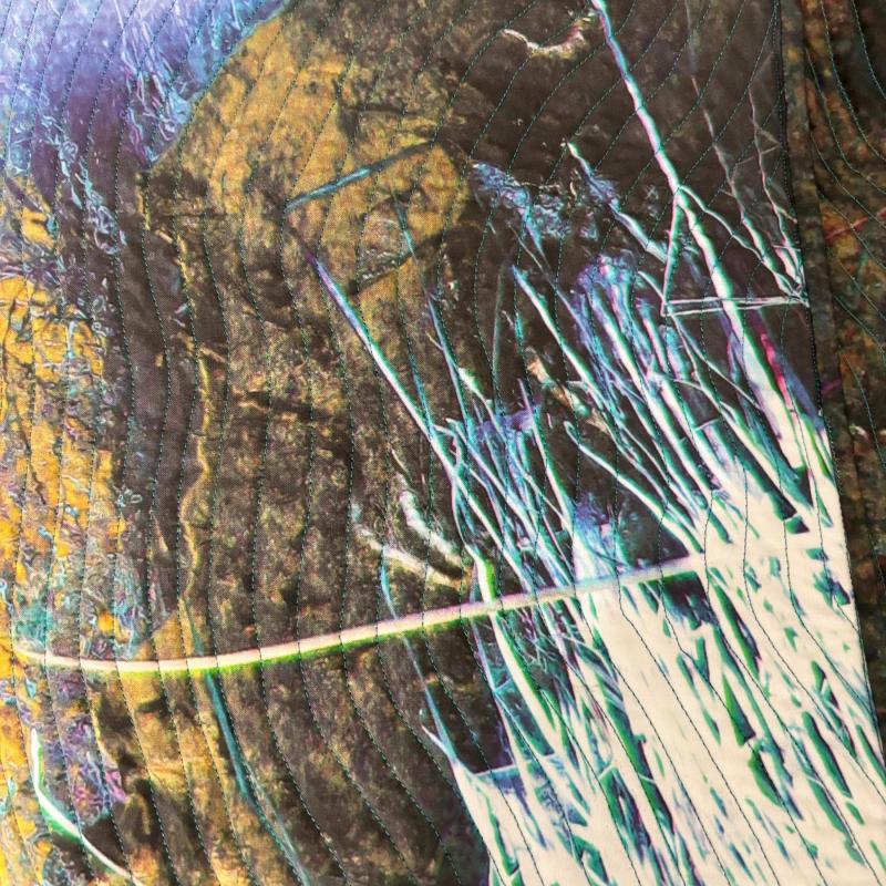 Bonnie  J. Smith - Fire Season Before and After