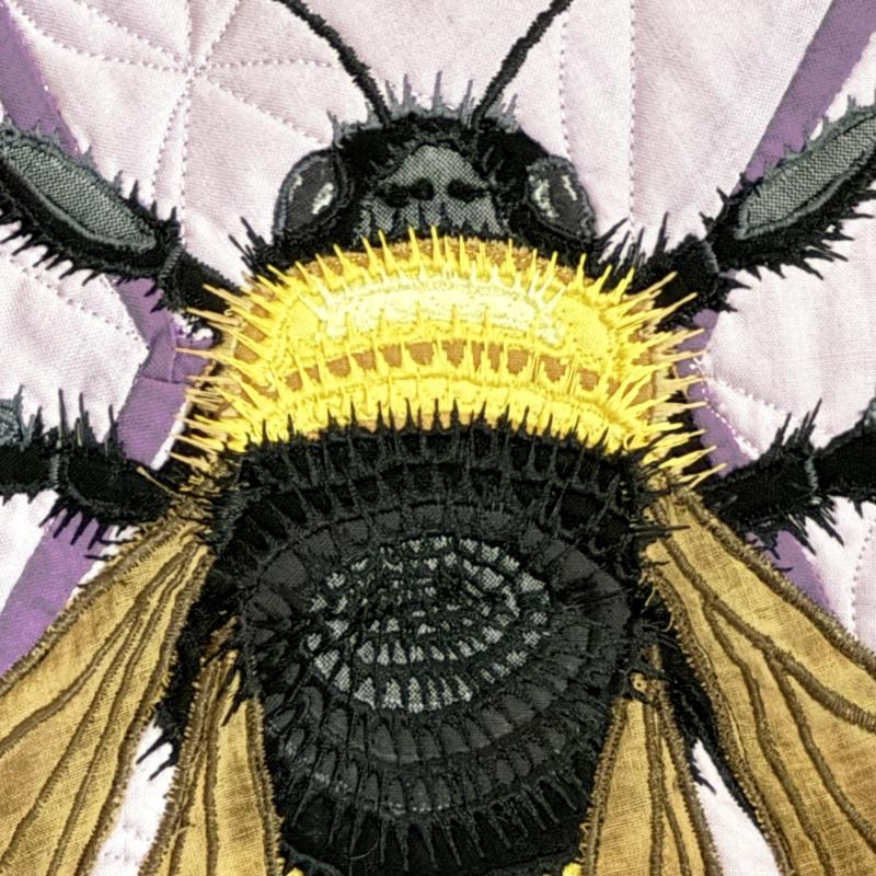  Kathy  DeVries - Bombus auricomus (Black and Gold Bumble Bee)