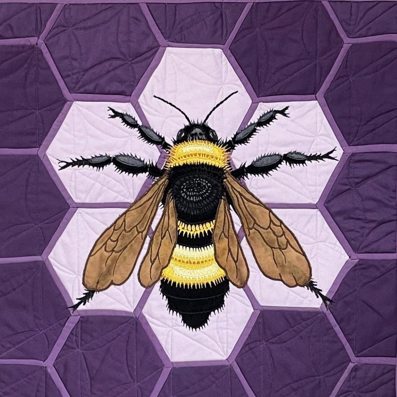  Kathy  DeVries - Bombus auricomus (Black and Gold Bumble Bee)