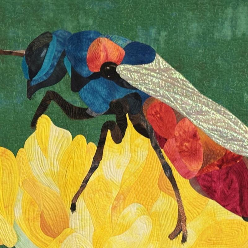  Rebecca A Haley - David's Wasp