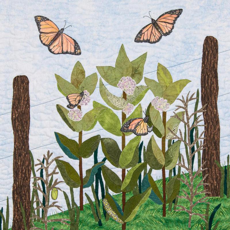  Lori W Kruse - Symbiosis - Monarchs & Milkweed