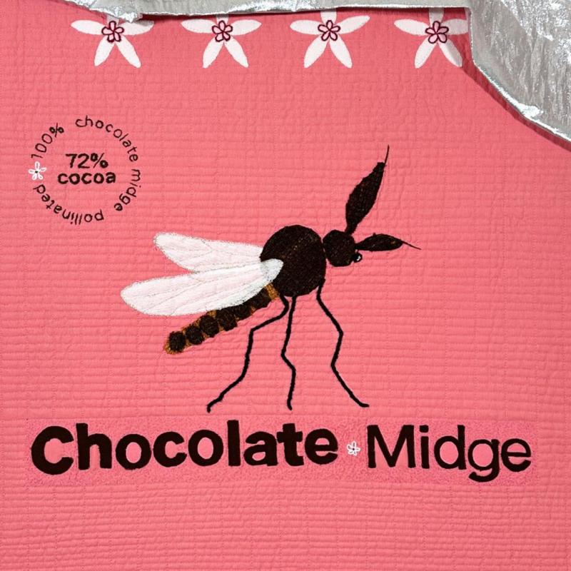  Karen  Peters - No More Chocolate?!