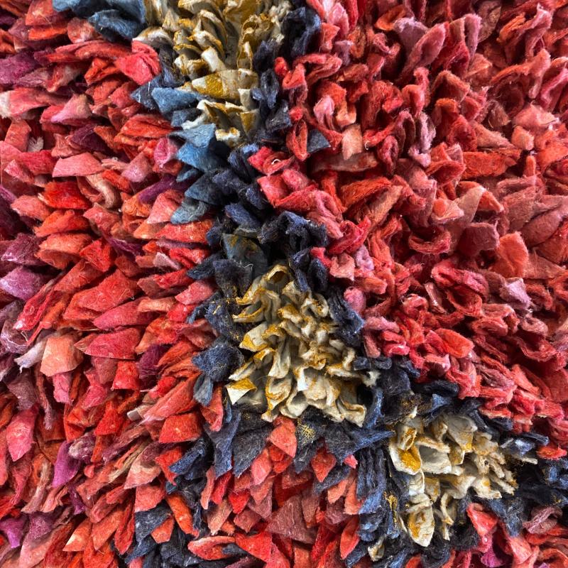 Maria Lorenzo Sachs - A Bunch of Red