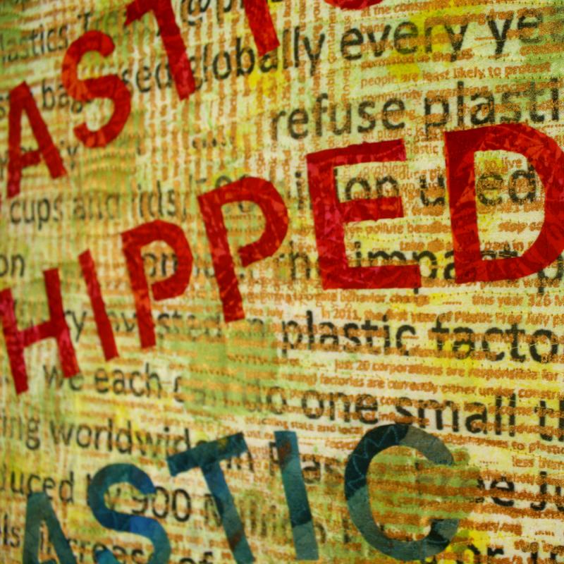Carol  Larson - Recycling Plastic is a Myth 