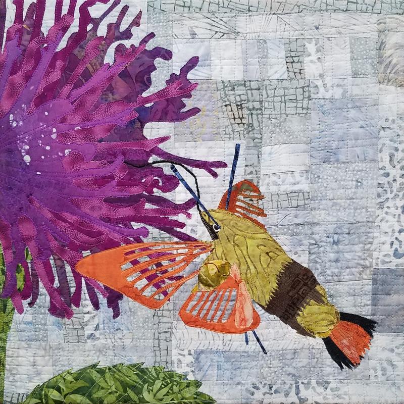 Kathie  Briggs - Hummingbird Moth and Bee Balm