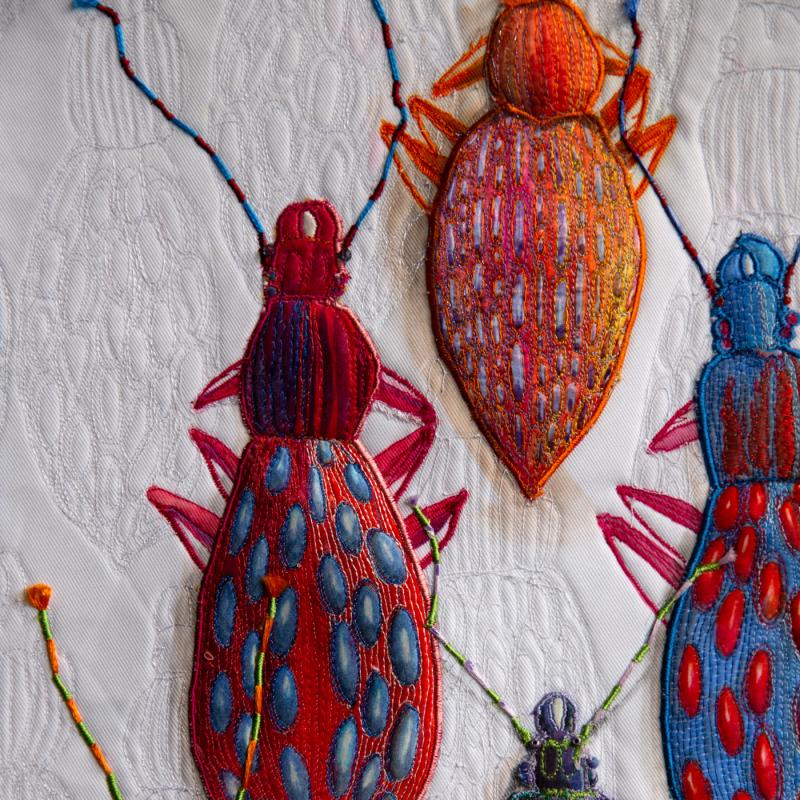 Irene Birute Manion - Blister Beetle Collection