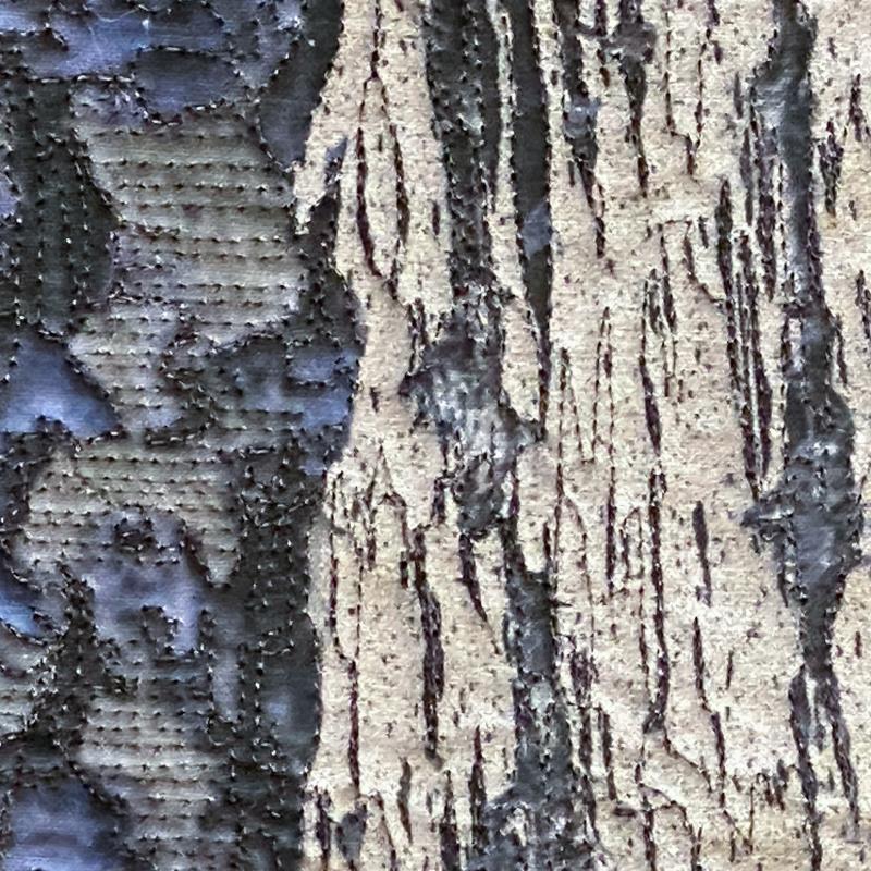 Anna  Chupa - Colorado Birches CA