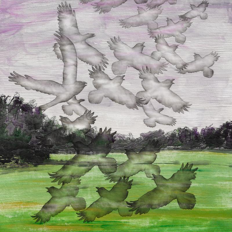 Sabi Westoby (United Kingdom) - Huge Flocks of Rising Rooks Forsake Their Food