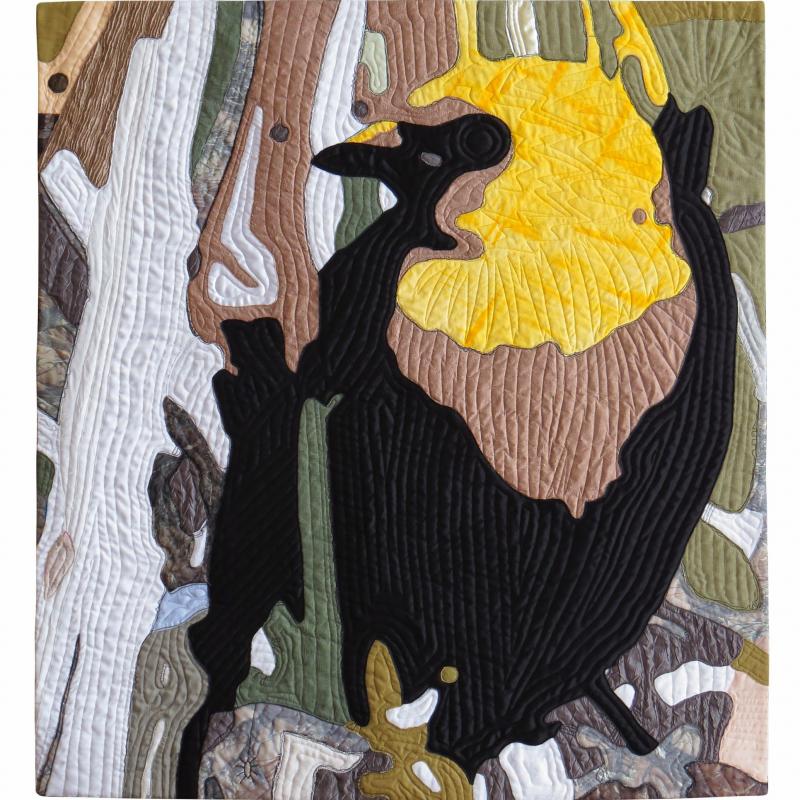 Sandra Poteet - Yellow-Headed Blackbird
