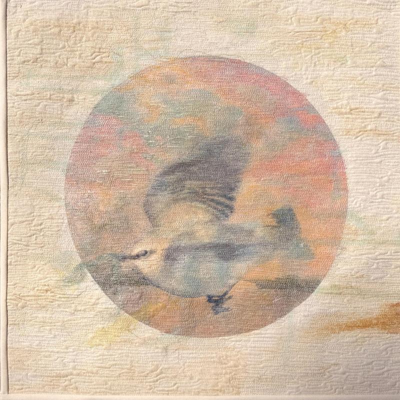  Susan  Downing-White - Rare Sighting