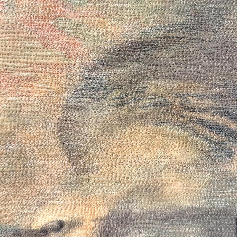  Susan  Downing-White - Rare Sighting