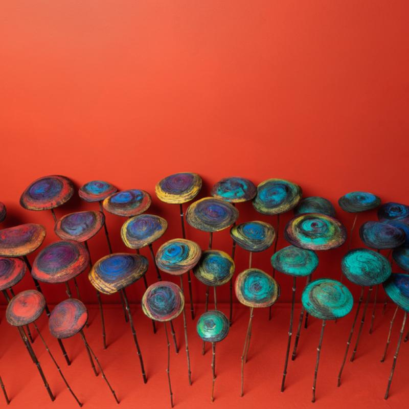 Judith Content - Gyres