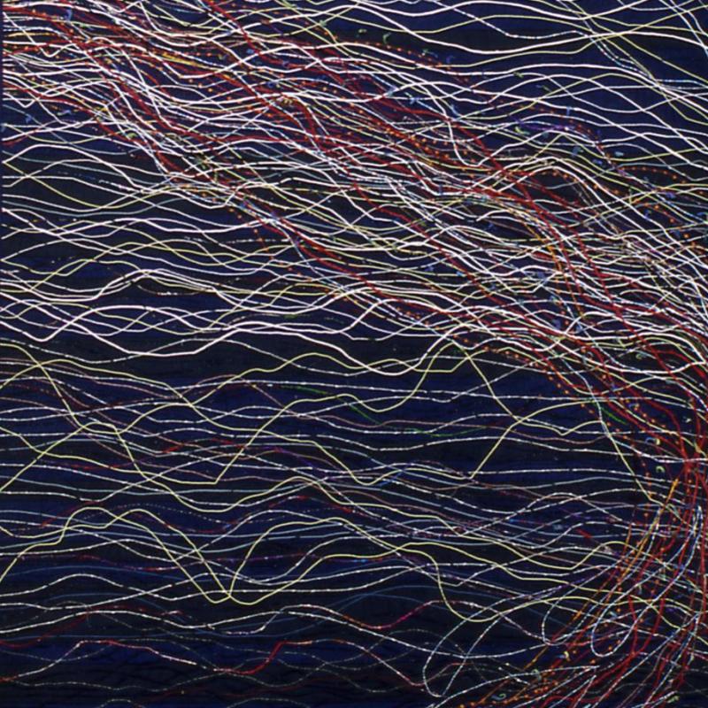  Chiaki  Dosho - Reflecting Fish in the Sea