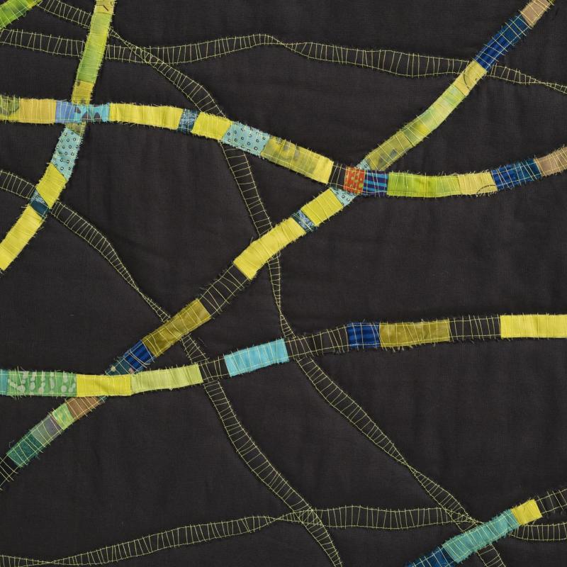  Alison   Schwabe - Spirogyra 3:  In The Weeds