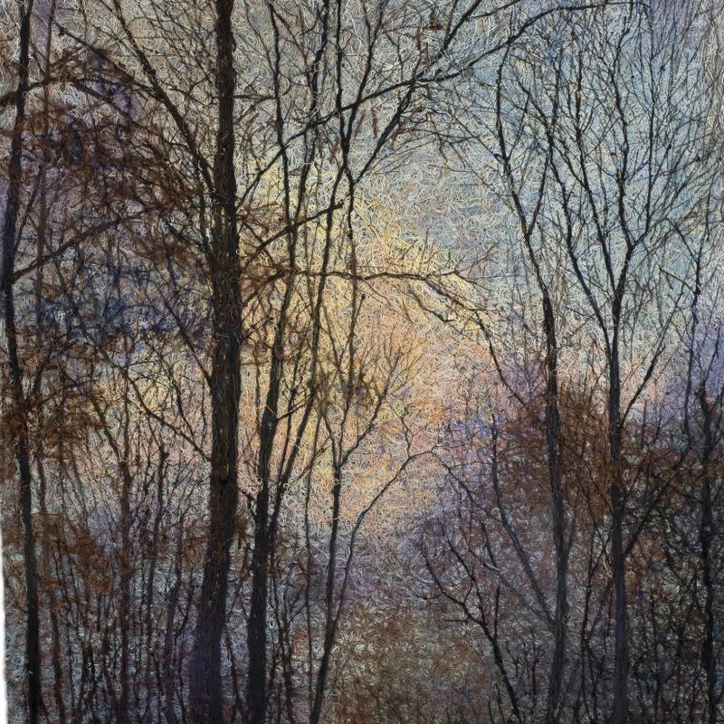 Winter Trees - A Glimmer of Light