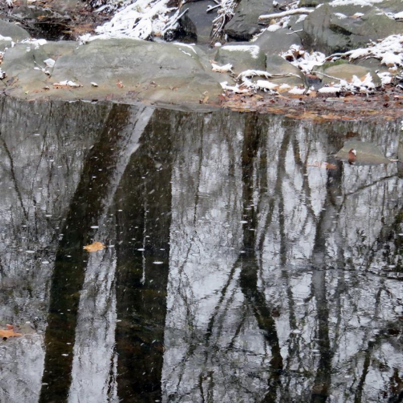 Deer Spring Creek: stones & reflections