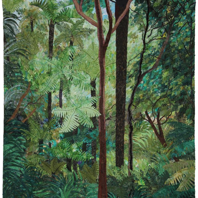 Tree Ferns in the Forest