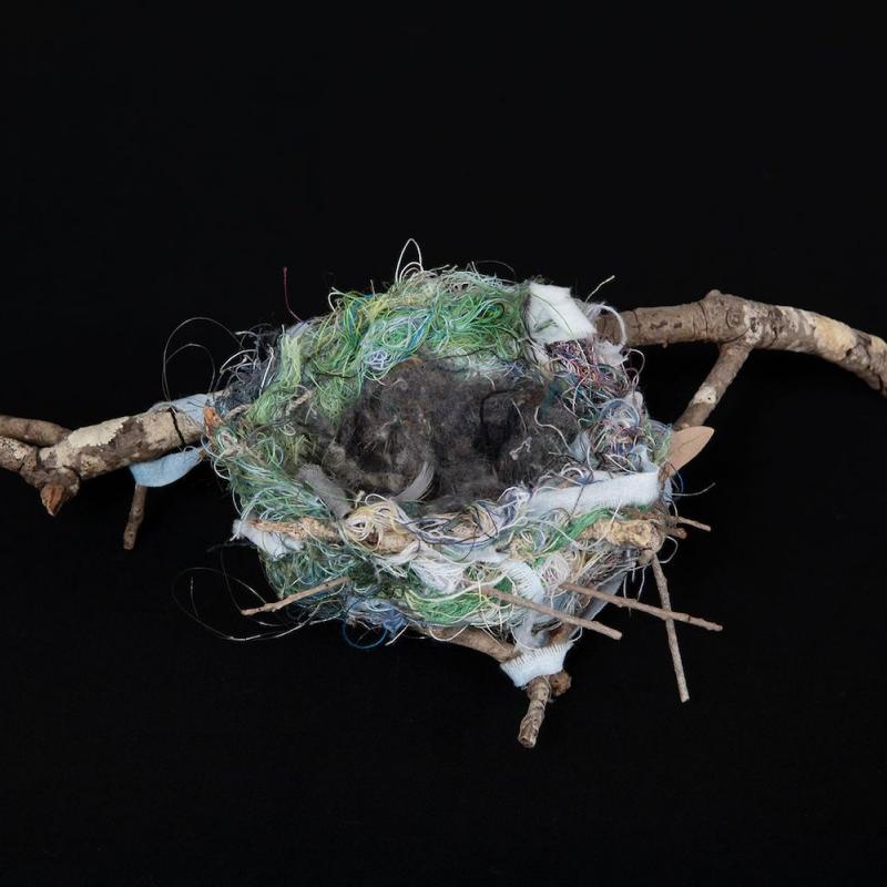 Nest Study