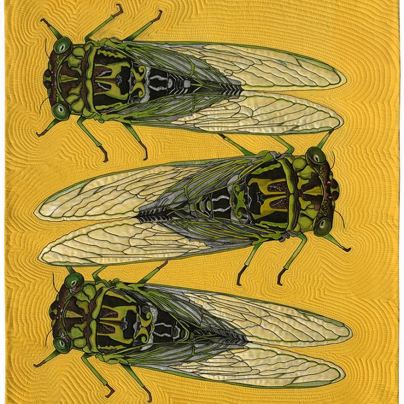 Cicadas on Yellow