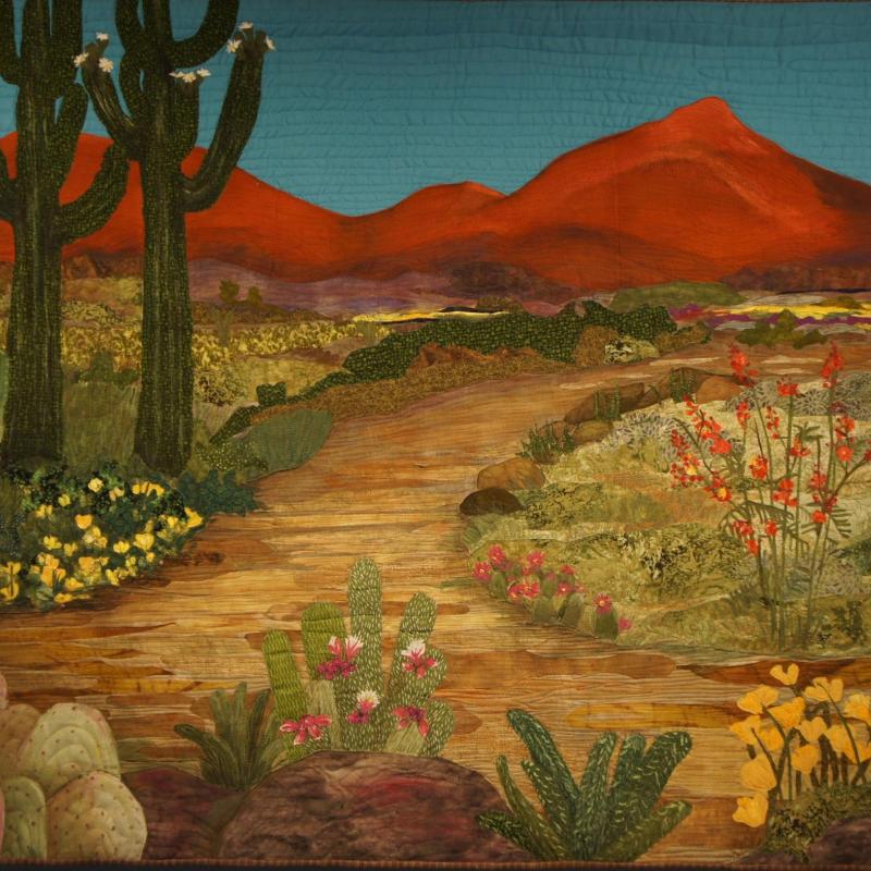 Arizona Desert In Bloom