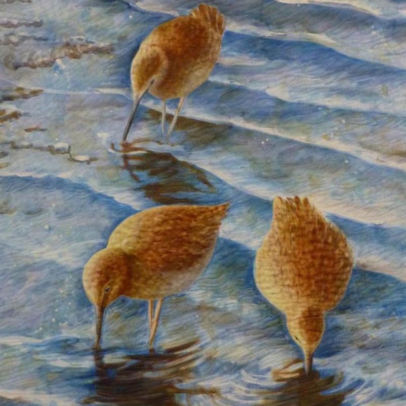 “Sandpipers at Ebb Tide” by Amy Witherow, Campbell, California, USA  30 x 30 inches