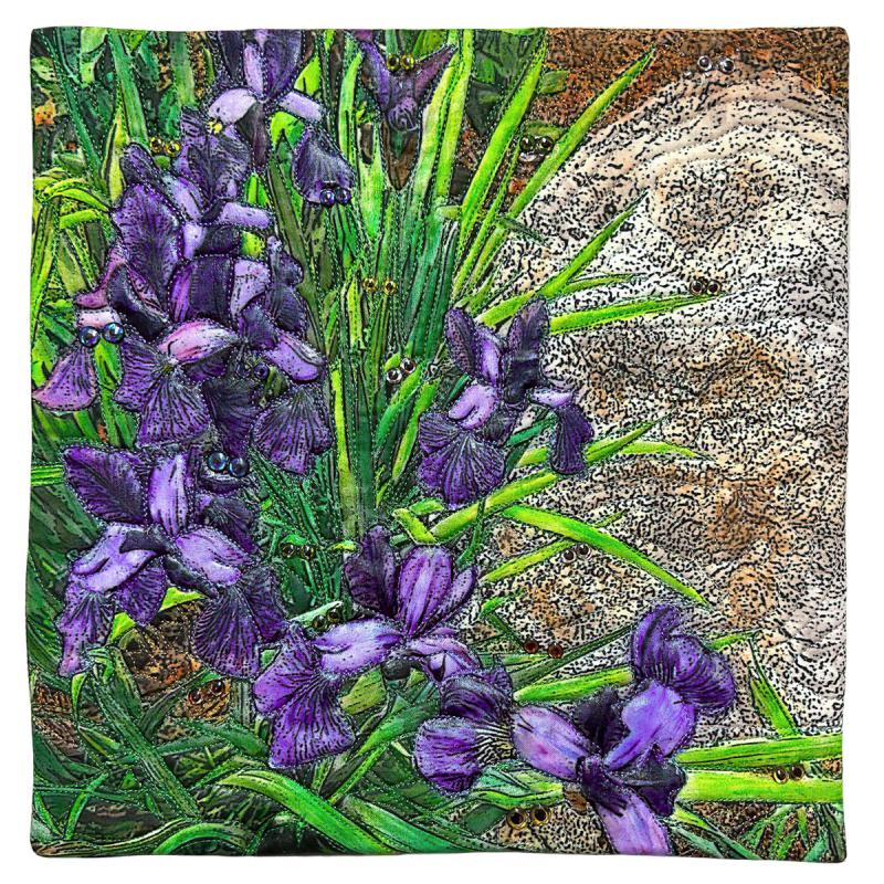  Stephanye Schuyler - Irises and Irises