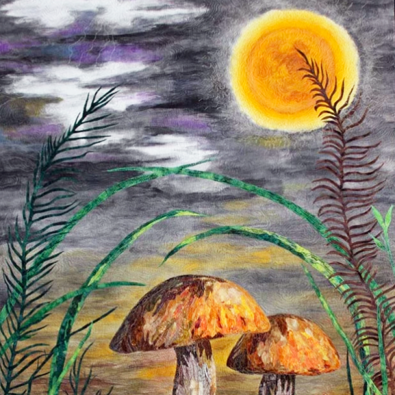 Susan Jackan - Mushroom in the Moonlight