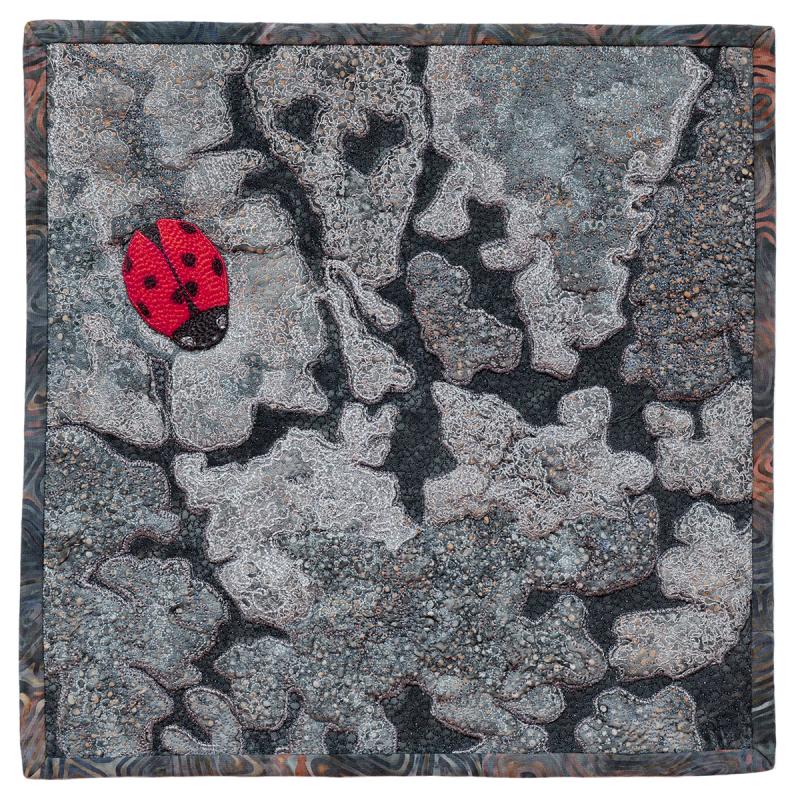 Mary Williams - Survival in a Hard Place #9 Ladybug on Mt. Etna