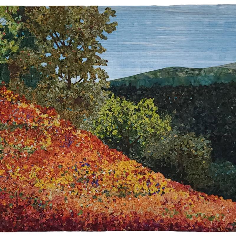 Super Bloom photo by Sibila Savage