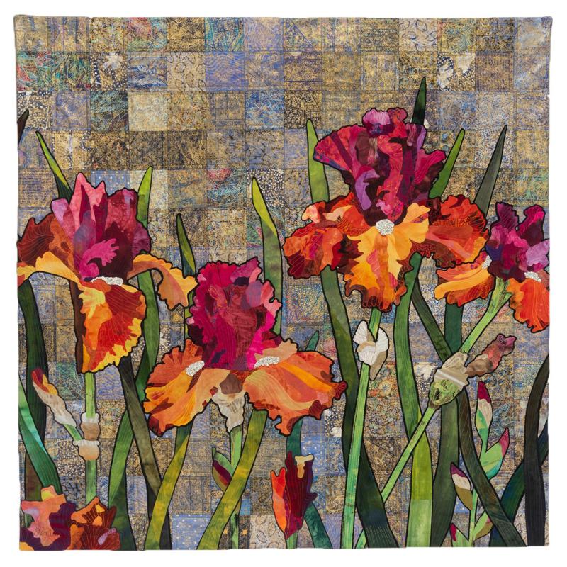 Iris Delight photo by Sibila Savage