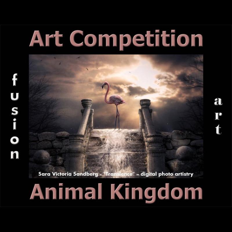 7th Annual Animal Kingdom CFE