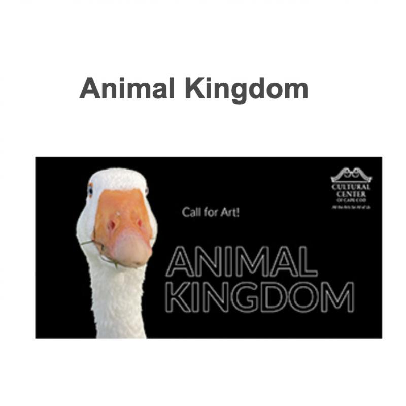 Animal Kingdom CFE