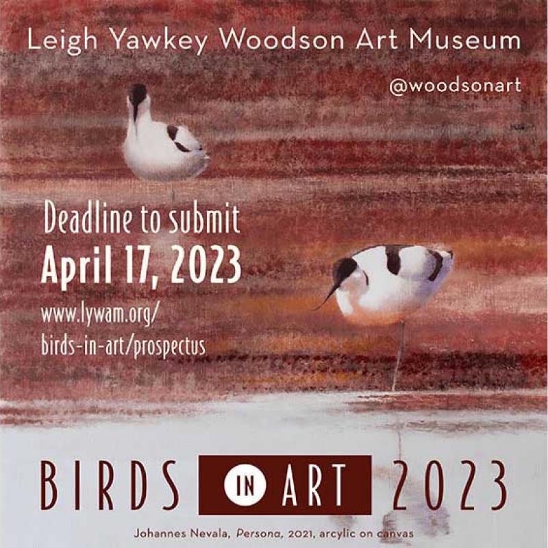 Birds in Art 2023 CFE