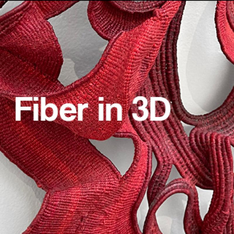 Fiber in 3D CFE