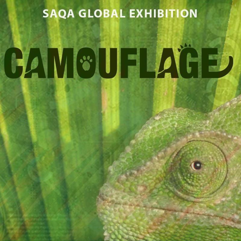 Camouflage Thumbnail Image