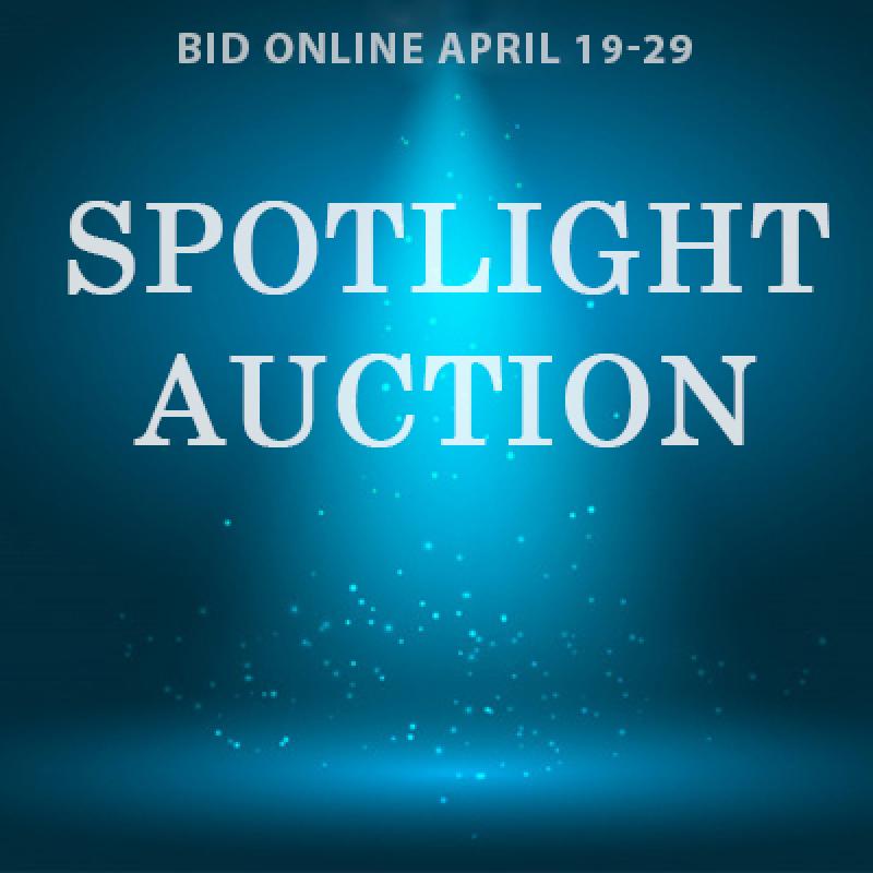 Spotlight Auction 