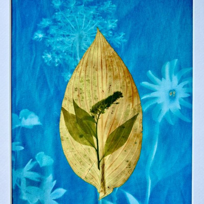 Gunnel Hag - Re-Seeds in my Yard (a quilt with blue background printed with a dandelion and a golden leaf in the center)