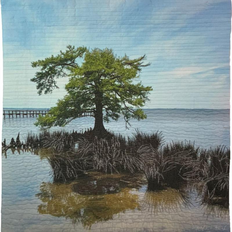 Solitude on Currituck Sound by Mary Ritter