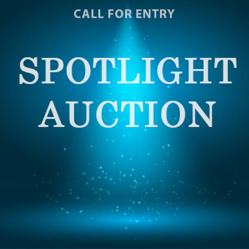 Spotlight Auction