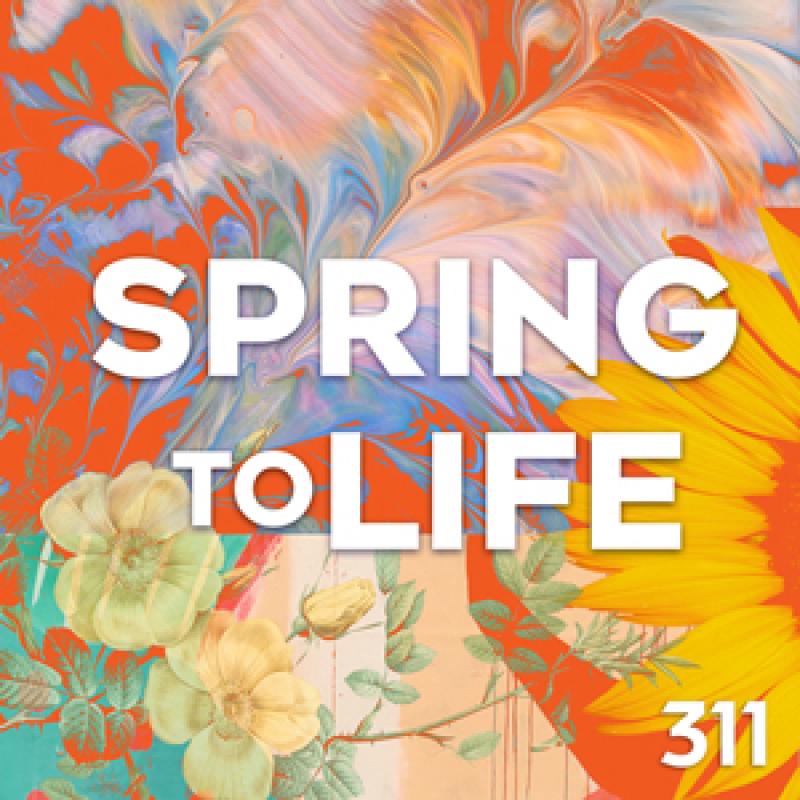 Spring to Life CFE